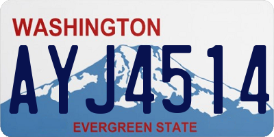 WA license plate AYJ4514