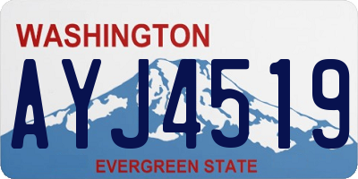 WA license plate AYJ4519