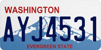 WA license plate AYJ4531
