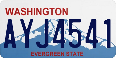 WA license plate AYJ4541