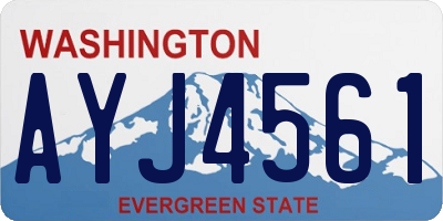 WA license plate AYJ4561