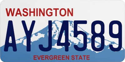 WA license plate AYJ4589