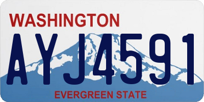 WA license plate AYJ4591