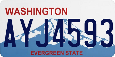 WA license plate AYJ4593