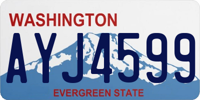 WA license plate AYJ4599