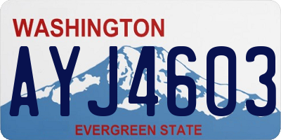 WA license plate AYJ4603