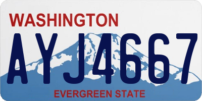 WA license plate AYJ4667