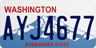 WA license plate AYJ4677