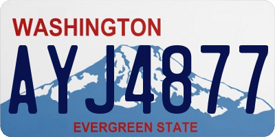 WA license plate AYJ4877
