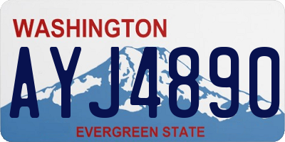 WA license plate AYJ4890