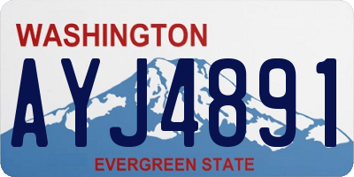 WA license plate AYJ4891
