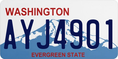 WA license plate AYJ4901