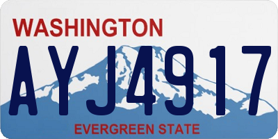 WA license plate AYJ4917