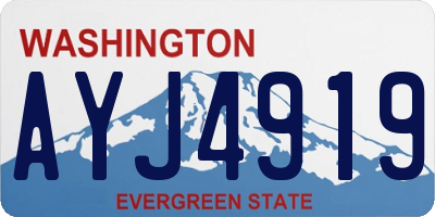 WA license plate AYJ4919