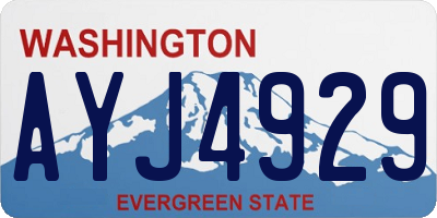 WA license plate AYJ4929