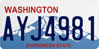 WA license plate AYJ4981