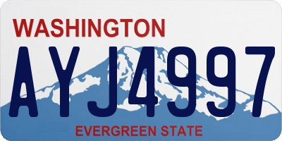 WA license plate AYJ4997