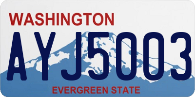 WA license plate AYJ5003