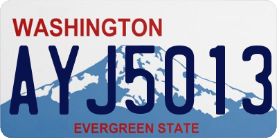 WA license plate AYJ5013