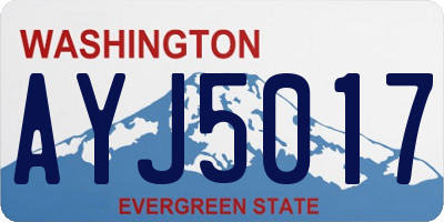 WA license plate AYJ5017