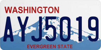 WA license plate AYJ5019