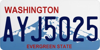 WA license plate AYJ5025