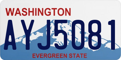 WA license plate AYJ5081