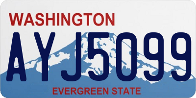 WA license plate AYJ5099