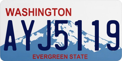 WA license plate AYJ5119