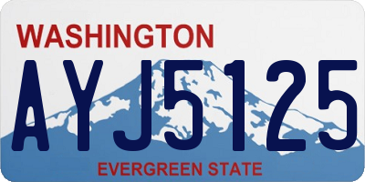 WA license plate AYJ5125