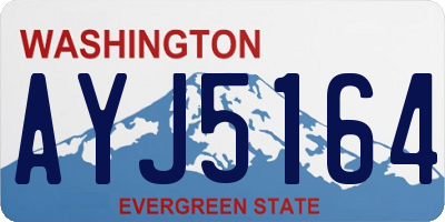 WA license plate AYJ5164