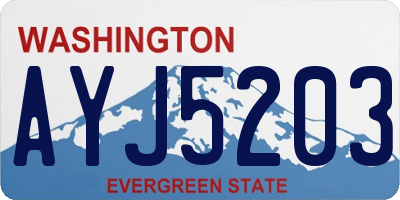 WA license plate AYJ5203