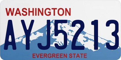 WA license plate AYJ5213