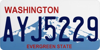 WA license plate AYJ5229