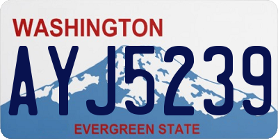 WA license plate AYJ5239