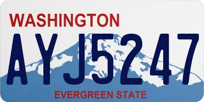 WA license plate AYJ5247