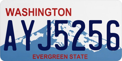 WA license plate AYJ5256