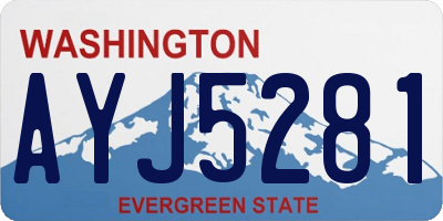 WA license plate AYJ5281