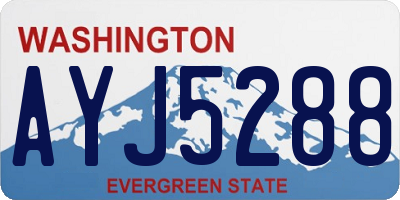 WA license plate AYJ5288