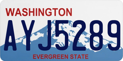 WA license plate AYJ5289