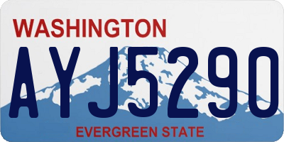 WA license plate AYJ5290