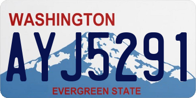 WA license plate AYJ5291