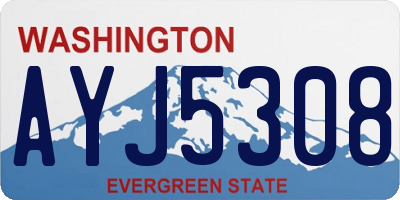 WA license plate AYJ5308