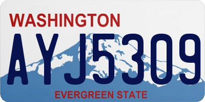 WA license plate AYJ5309