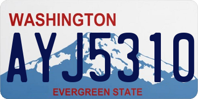 WA license plate AYJ5310