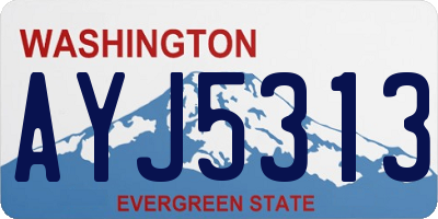 WA license plate AYJ5313