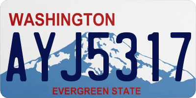 WA license plate AYJ5317