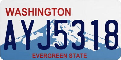 WA license plate AYJ5318