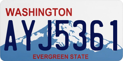 WA license plate AYJ5361