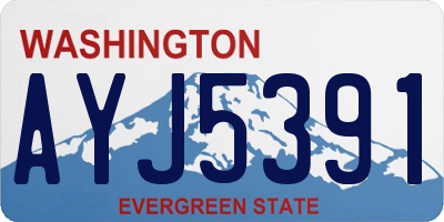 WA license plate AYJ5391